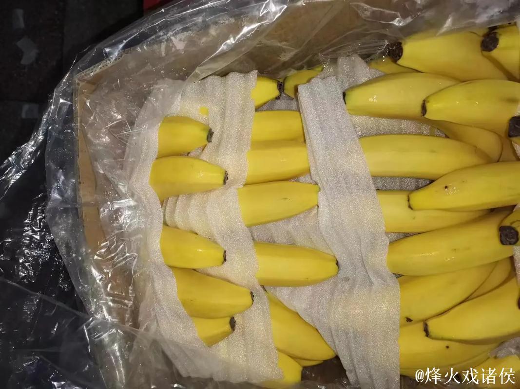 香蕉视频黄色